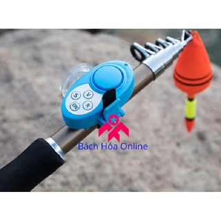 Báo động cá cắn câu