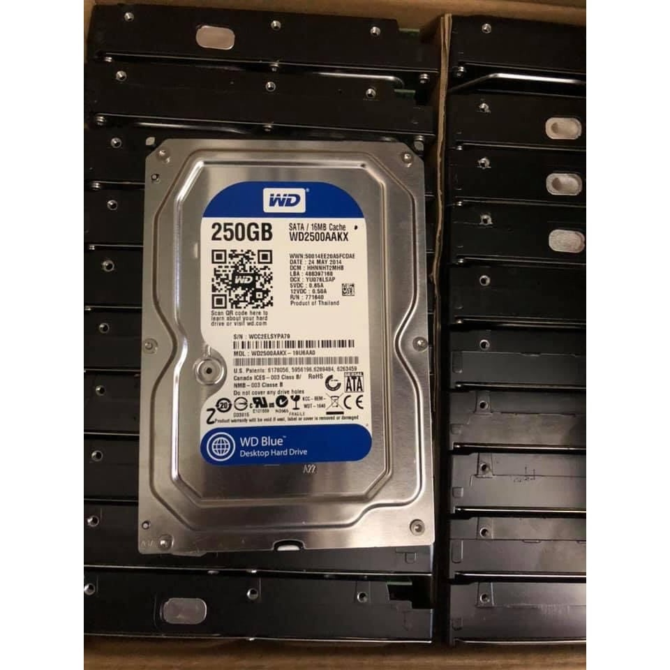 Ổ Cứng HDD Western 250Gb -  Hàng máy bộ siêu bền. | BigBuy360 - bigbuy360.vn