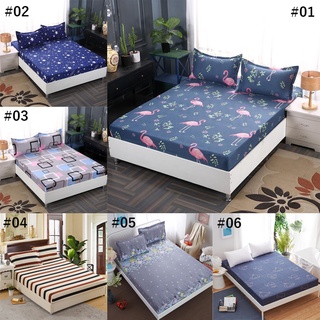 Bộ 1 ga trải giường / 2 vỏ gối cotton polyester tùy chọn