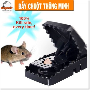 Dụng Cụ Kẹp Bẫy Chuột Thông Minh