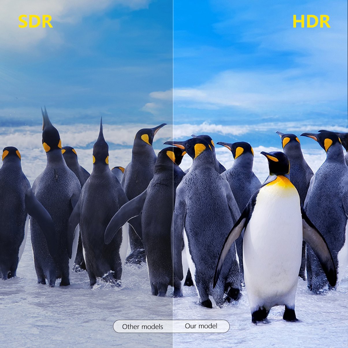 Đầu Thu Tín Hiệu Wifi Không Dây C12 1080p Hdmi-Compatible Cho Airplay | BigBuy360 - bigbuy360.vn