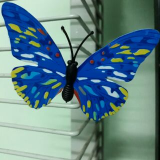 Bộ bướm 3d nam châm