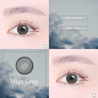 Lens xám tây vừa MIGA ( Ảnh thật )
