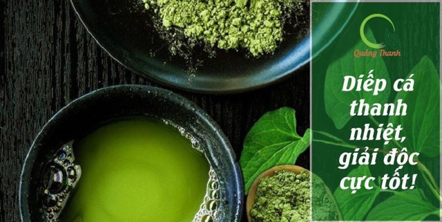Bột Diếp Cá Sấy Lạnh Nguyên Chất Hộp 50g - Hỗ trợ mát gan, Táo Bón, Làm Đẹp