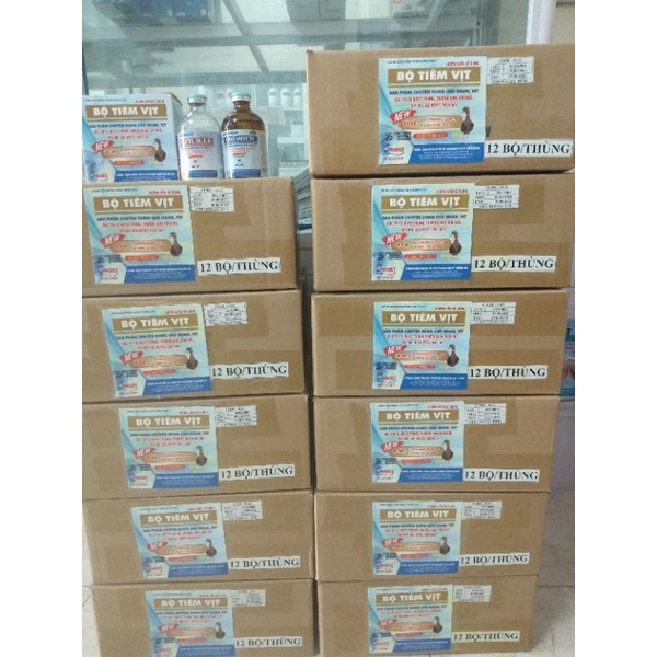 BỘ TIÊM VỊT 100ml