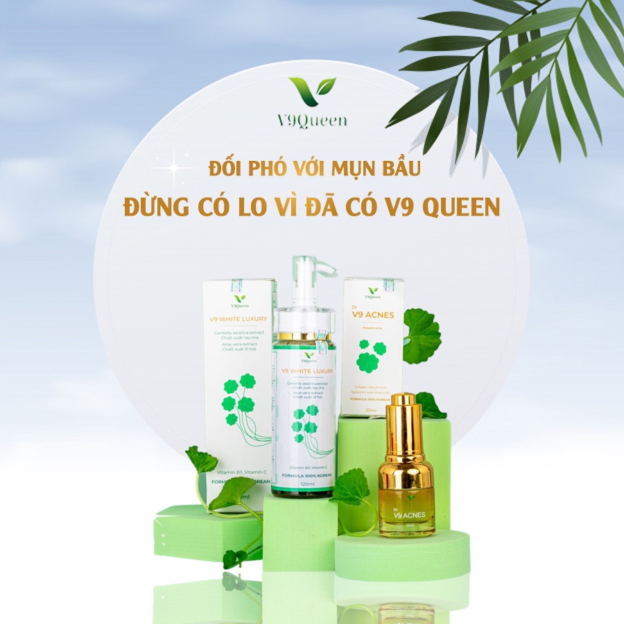 Bộ Đôi Dành Cho Da Mụn, Da Dầu - Mỹ Phẩm Bà Bầu V9QUEEN