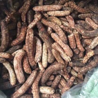 Chuối hột rừng
