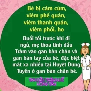 Tinh Dầu Tràm Huế - Combo 5 lọ 100ml