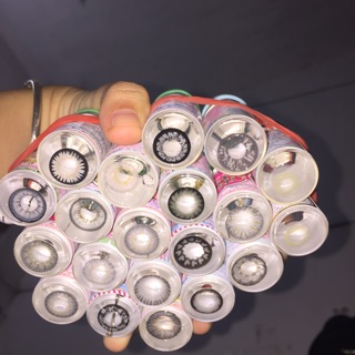 Combo 350k 10 khay trong