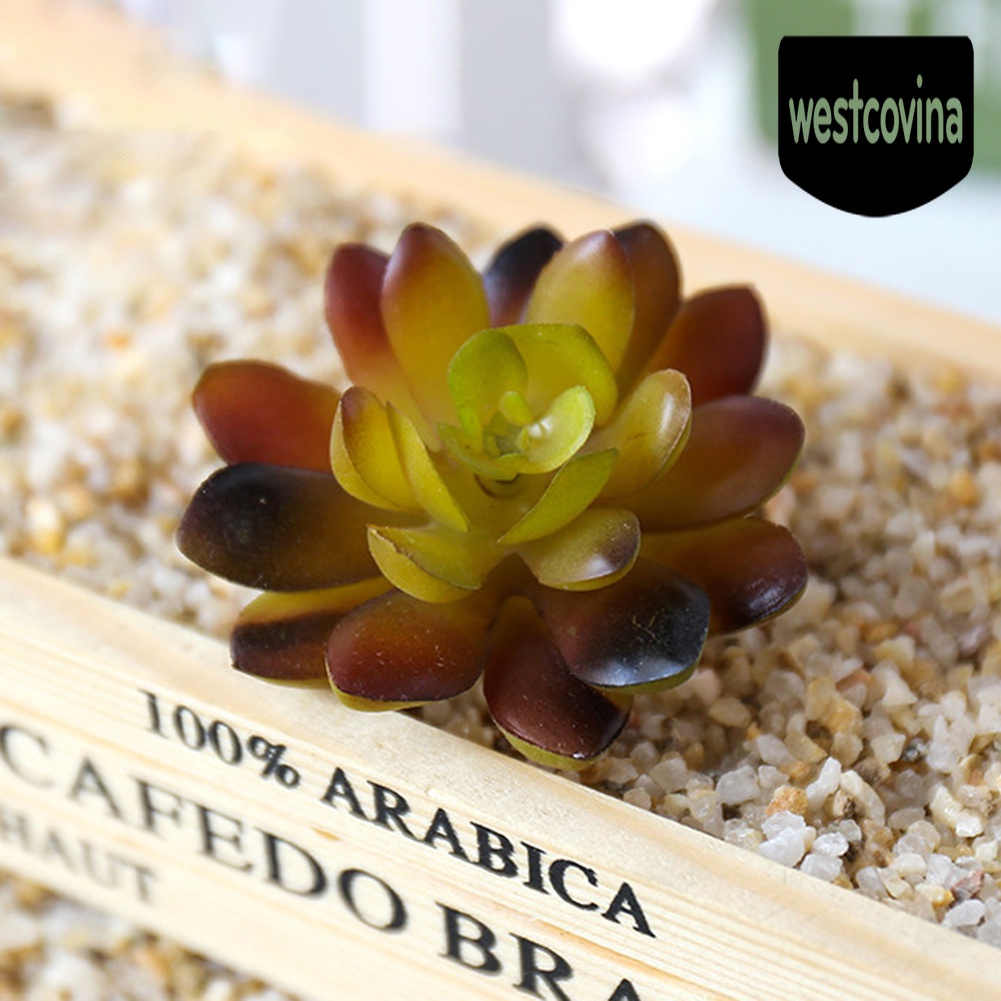 [Hot]☀ 1 Cây Mọng Nước Nhân Tạo Nhiều Màu Sắc Dùng Trong Trang Trí