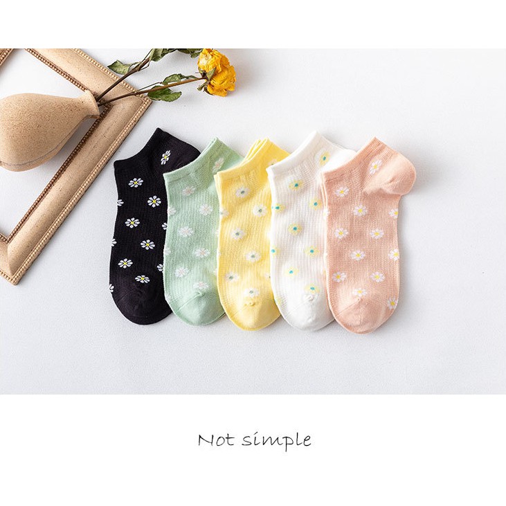 Tất NữCotton Cúc Họa Mi Thời Trang Hàn Quốc ( TN : 181 ) Hàng Loại Đẹp.