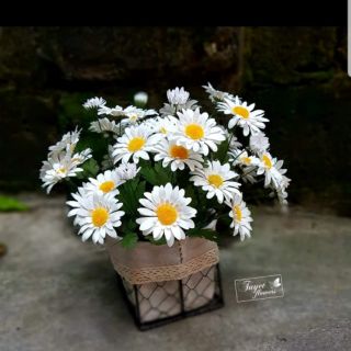 TRỌN GÓI BỘ NGUYÊN LIỆU LÀM CÚC HỌA MI