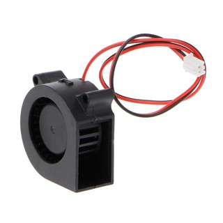 Quạt sò 4020