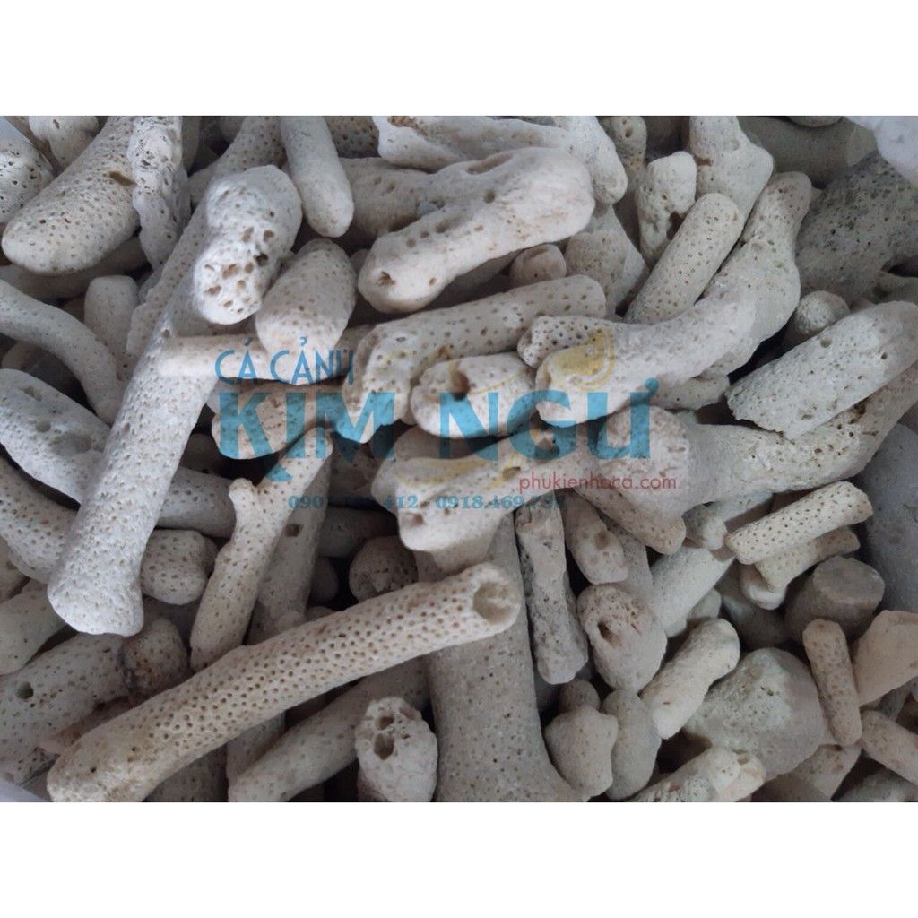 San Hô Đũa Vụn Làm Tăng - Ổn Định Độ pH Của Hồ Cá 1000gr