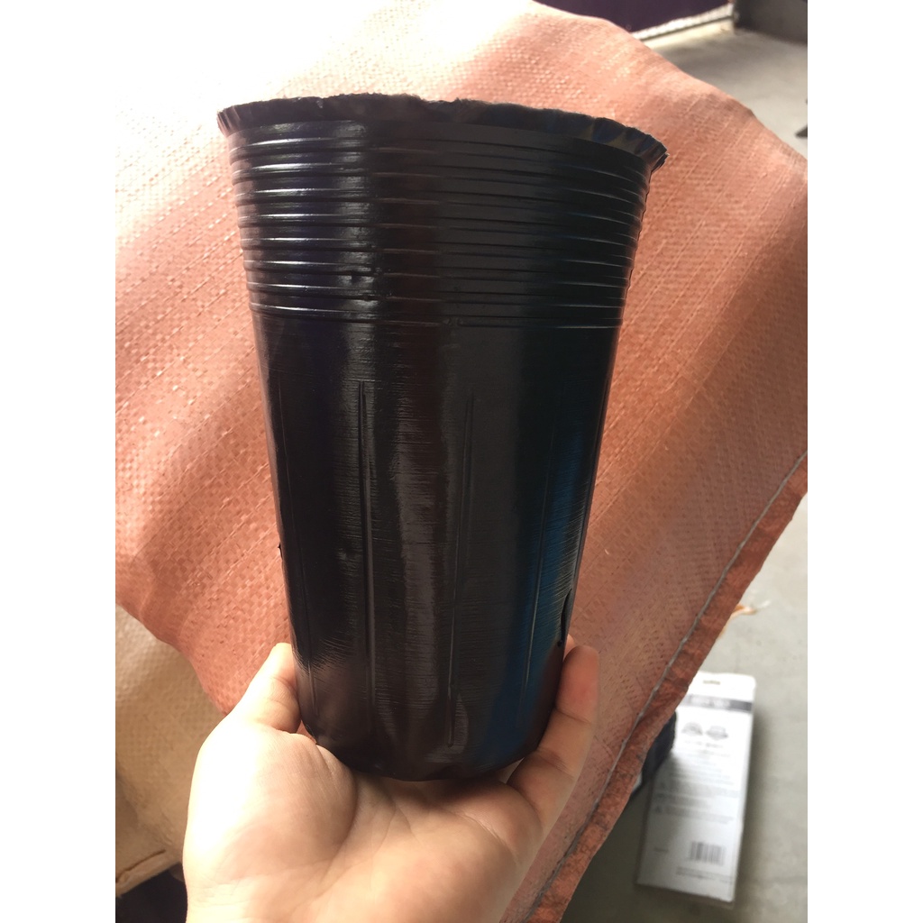 1 KG BẦU ƯƠM C13 (DỊCH TRUYỀN CHO CÂY, BẠT CHỐNG CỎ, KEO RUỒI VÀNG...)