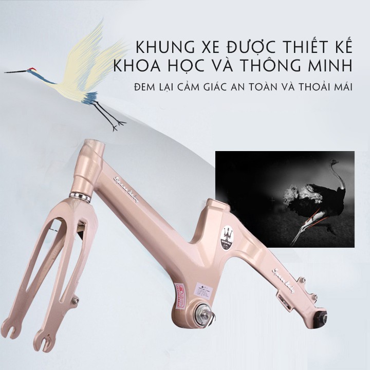 XE ĐẠP TRẺ EM TỪ 2 ĐẾN 7 TUỔI, XE KHUNG HỢP KIM