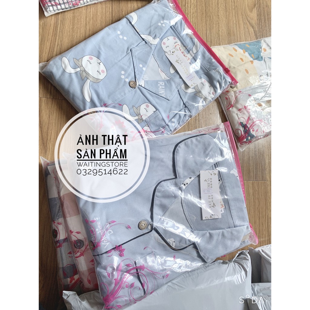 Pijama, Bộ Ngủ Nữ cotton thun ngắn tay quần dài CDCP01 | BigBuy360 - bigbuy360.vn