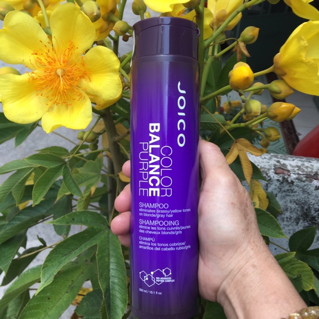 Dầu gội JOICO BALANCE tím khử ánh sắc vàng 300ml