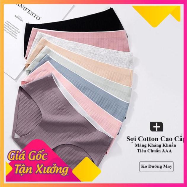 Quần Lót Cotton Gân Tăm Không Đường May Kháng Khuẩn CT 06