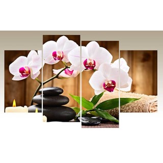 Tranh treo tường hoa lan spa BINBIN TNT66 (Tặng 1 decal ngẫu nhiên)