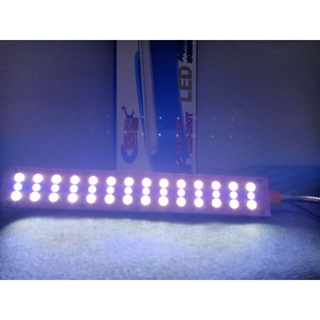 Đèn LED trang trí siêu rẻ bể cá cảnh