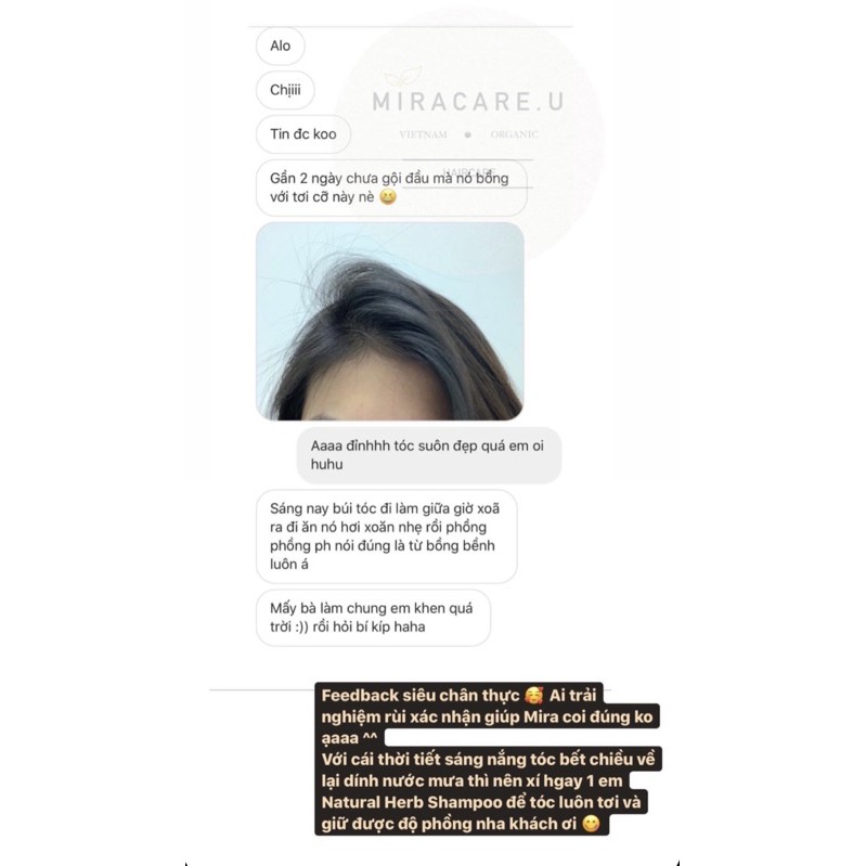 Dầu gội bồ kết cô đặc - Dầu gội thảo mộc thuần chay, giảm gàu, kích thích mọc tóc | BigBuy360 - bigbuy360.vn