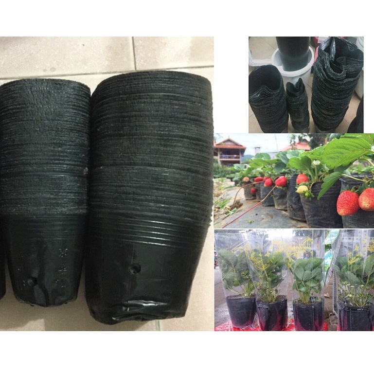 (Nhiều size) Chậu trồng cây_Bầu túi ươm hạt giống nhựa nilon đen dày dặn