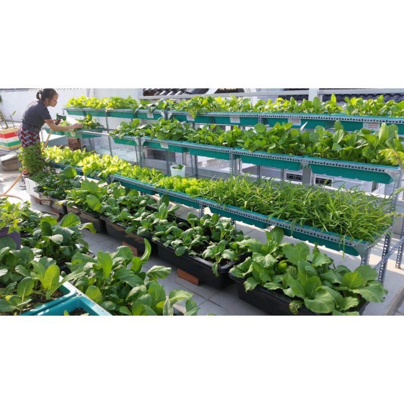 KỆ SẮT đa năng trồng rau 2 tầng dùng cho 2 khay loại 65.67.68X43cm