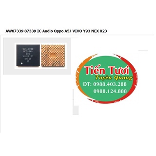 AW87339 IC Audio