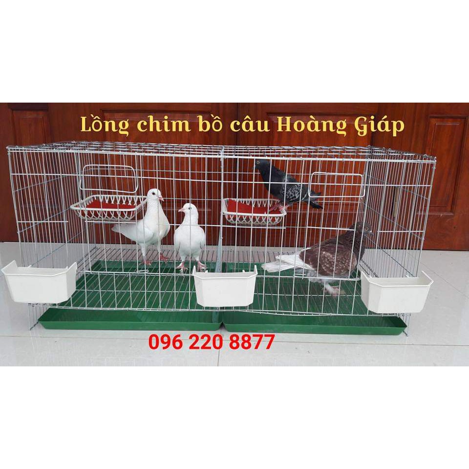 Lồng chim bồ câu công nghiệp