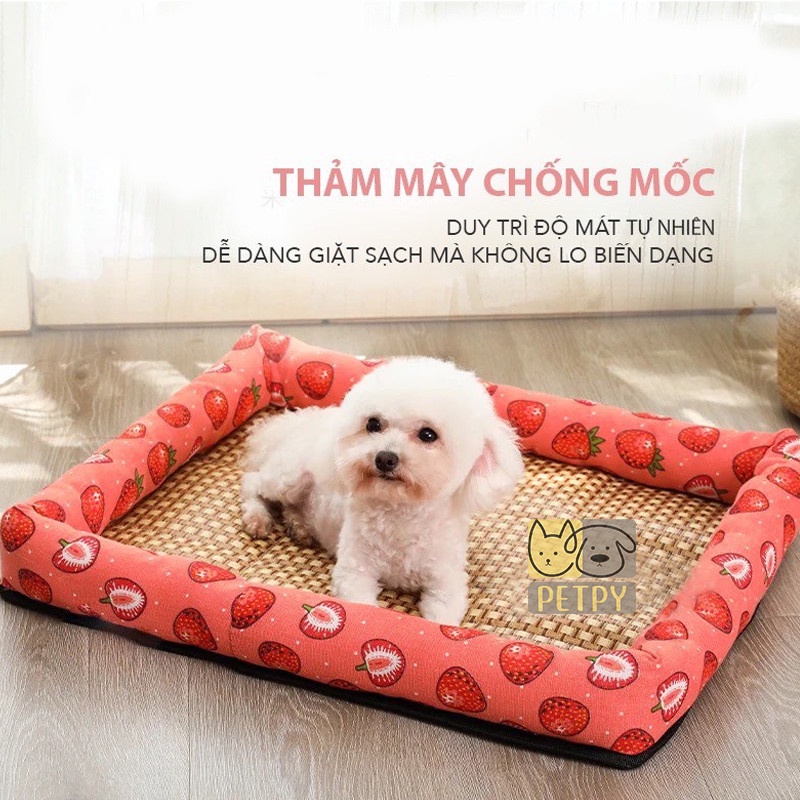 Đệm chiếu điều hòa hình chữ nhật cho thú cưng màu sắc bắt mắt dễ dàng làm sạch, chiếu hè cho chó mèo
