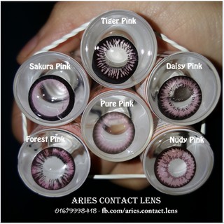 (Sỉ 50k) Lẻ Lens Thái PINK (hồng) - Kính áp tròng 0-2-55-6 độ sỉ lẻ (Ảnh thật tự chụp)