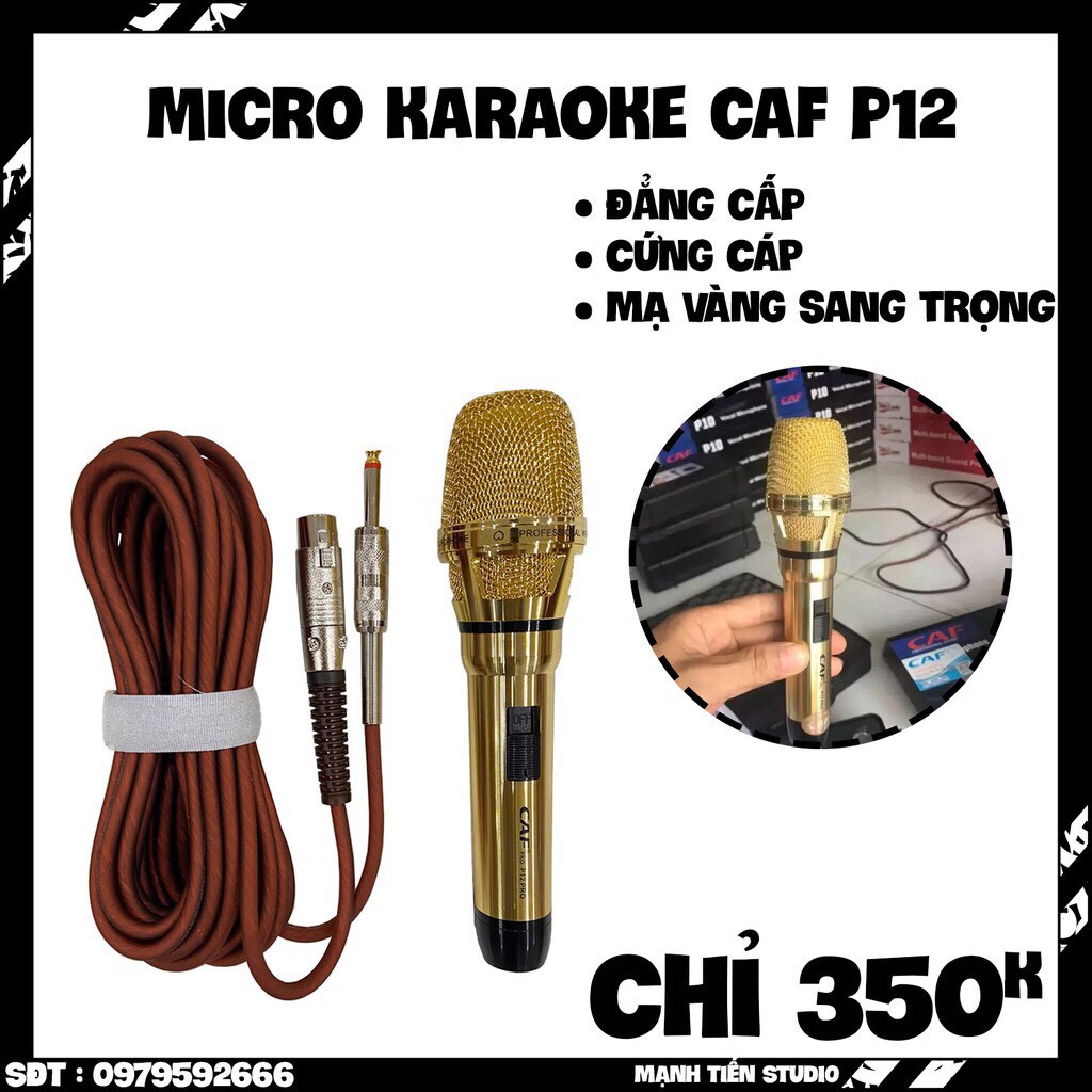 [GIÁ SỈ TẬN GỐC] Micro CAF P12 hát karaoke nhỏ gọn, hát karaoke gia đình, hội nghị, tân gia,... dây mic dài 7M tiện lợi