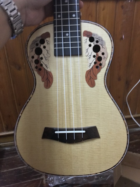 Ukulele concert hoa cao cấp