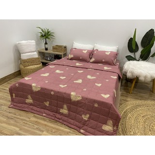Chăn hè thu trần bông 3 lớp 1m8x2m mẫu tim mới