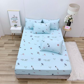 6.GA GỐI LẺ COTTON LỤA ( ẢNH SHOP TỰ CHỤP)