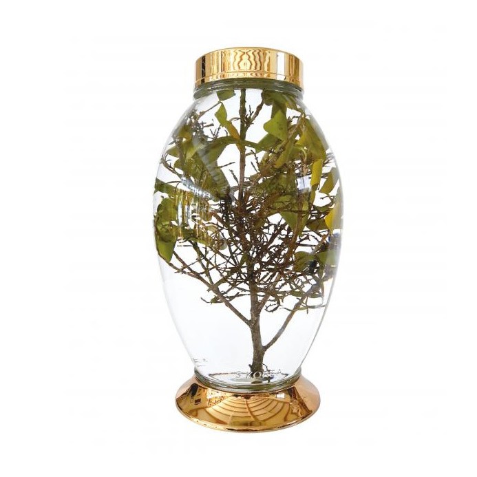 Bình ngâm rượu Hàn Quốc mã 124 (8,5 lit)