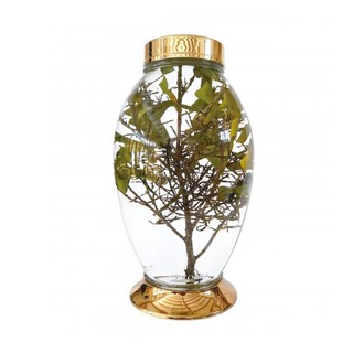 Bình ngâm rượu Hàn Quốc mã 124 (8,5 lit)
