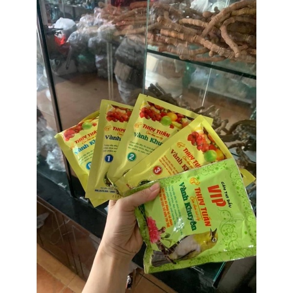 Cám Thuý Tuấn vành khuyên thi đấu vip cao cấp