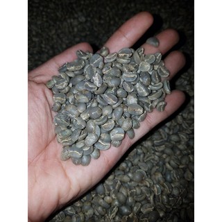 1Kg Cà Phê Arabica Cầu Đất ( Catimor ) Nhân Xanh Chưa Rang