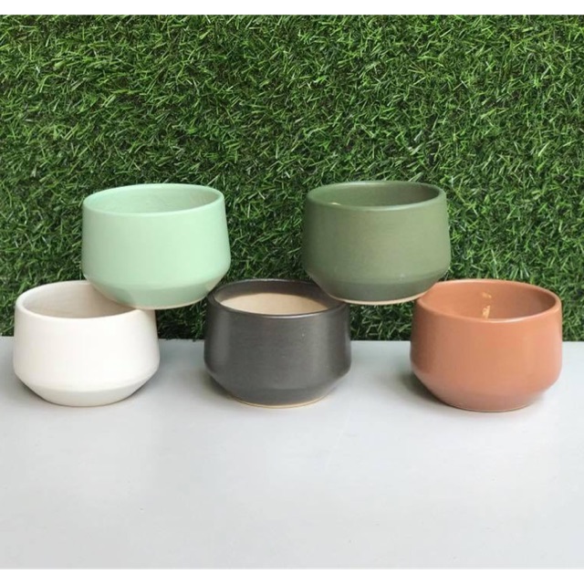 Cốc mini trồng cây
