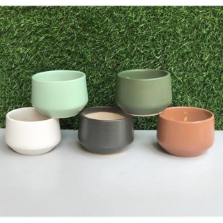 Cốc mini trồng cây