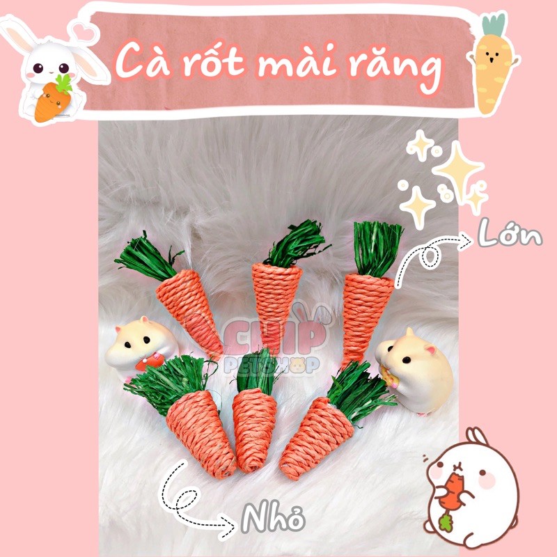 Cà rốt mài răng 🥕🥕