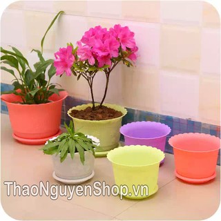 Chậu trồng hoa nhựa