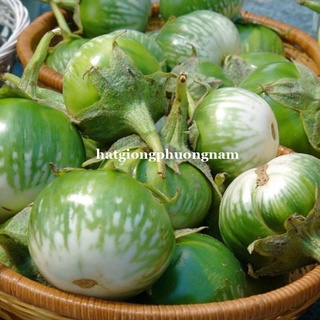 1 gr - hạt giống cà dĩa sọc xanh