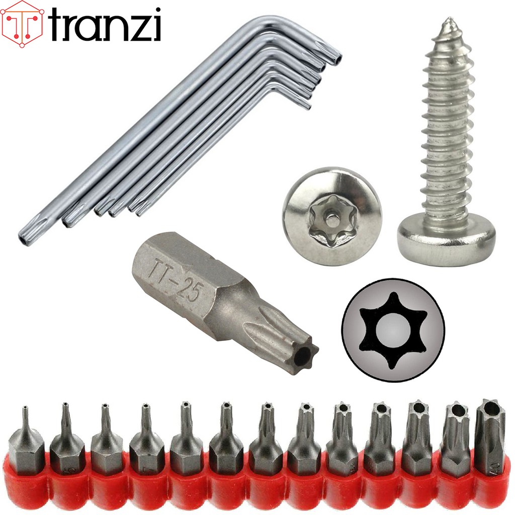 Vít hoa thị 6 cạnh đầu cầu đuôi nhọn ren thô inox 304 có nhân M2,9 M3,5 M3,9 M4,2 M4,8 M6,3