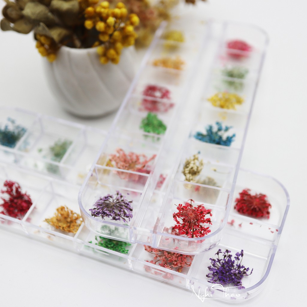 Hoa khô nail trang trí móng cánh nhỏ 12 màu