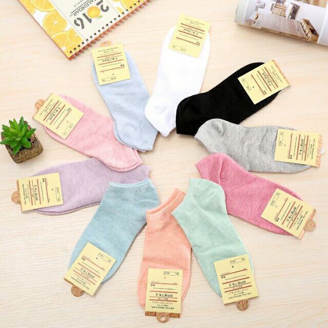 Tất nữ cổ ngắn Mivino vớ nữ cotton trơn hàn quốc cực đẹp CT5