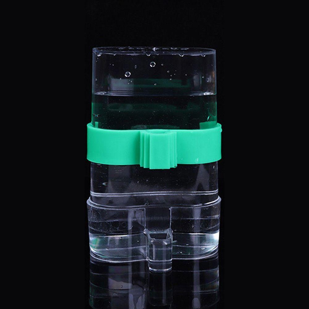 Dụng Cụ Cho Chim Ăn Tự Động