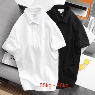 Áo polo nam cổ dệt waffle, áo thun cổ bẻ basic tay lỡ 12 - ivan bigsize